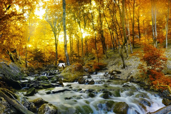 Herbstlandschaft im Wald. Wasserfall und Fluss