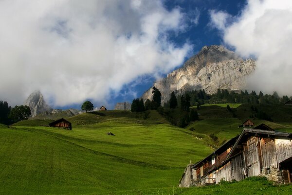 Petite maison sur les espaces verts sur fond de montagne