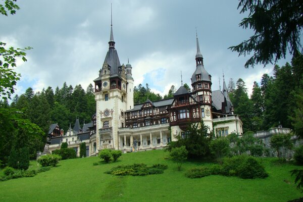 Hermoso castillo en la naturaleza