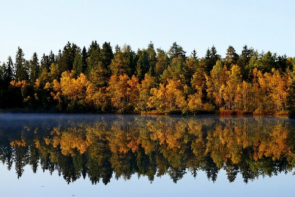 A beautiful autumn landscape is reflected in the water