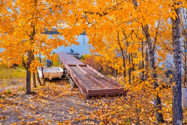 Otoño dorado en el muelle con puente de madera