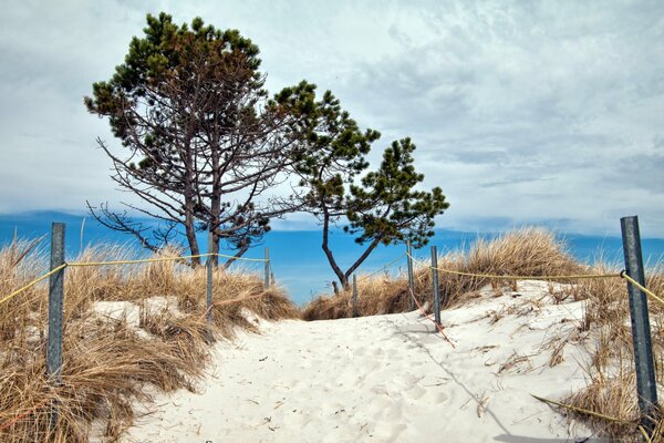 Beautiful, quiet beach in the dunes