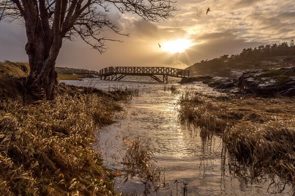 Amanecer en el puente del río