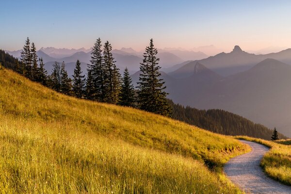 A beautiful meadow followed by a dense forest and then mountains