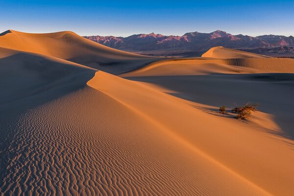 Mesuit dunes in Death Valley