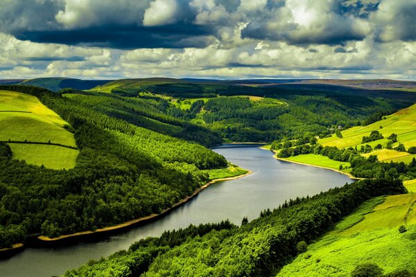 Paisaje con hermoso cielo río y bosque