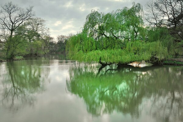 Lago del parque de primavera en Dresde