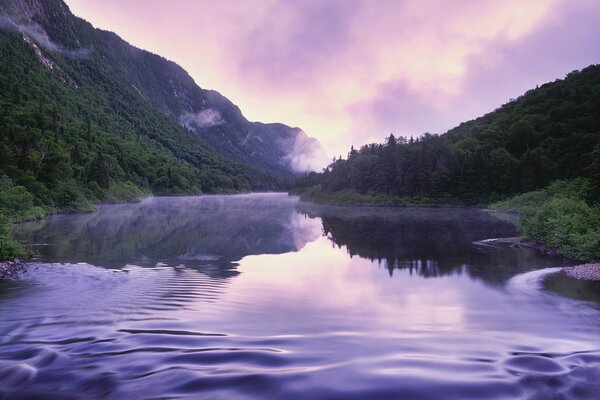 Foggy summer on a mountain river