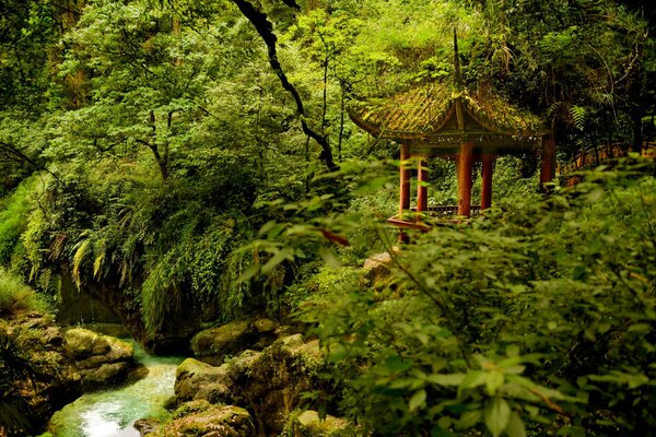 Gazebo dans le parc National Emeishan