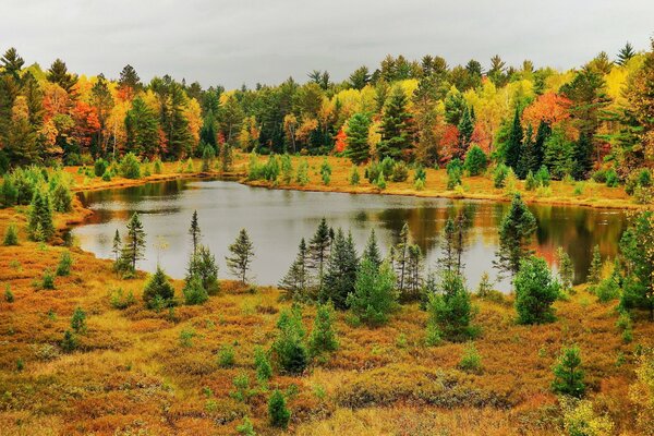 Lago del bosque de otoño, foto