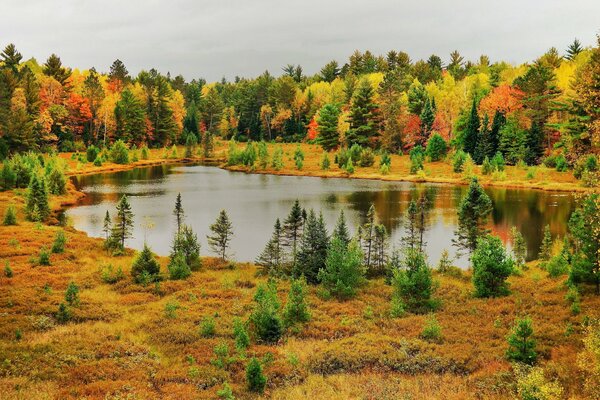 Lago della foresta autunnale, foto