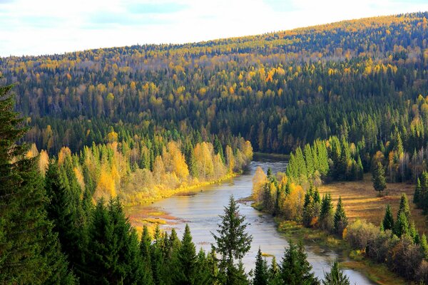 Foreste russe. Territorio di Perm