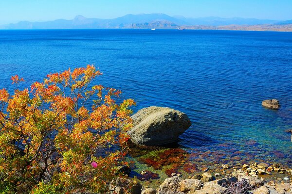 Horizonte de otoño desde las costas del mar negro