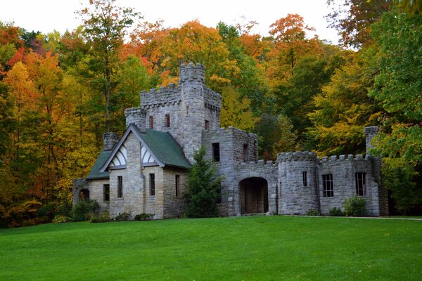 A beautiful castle in a clearing in a forest among trees