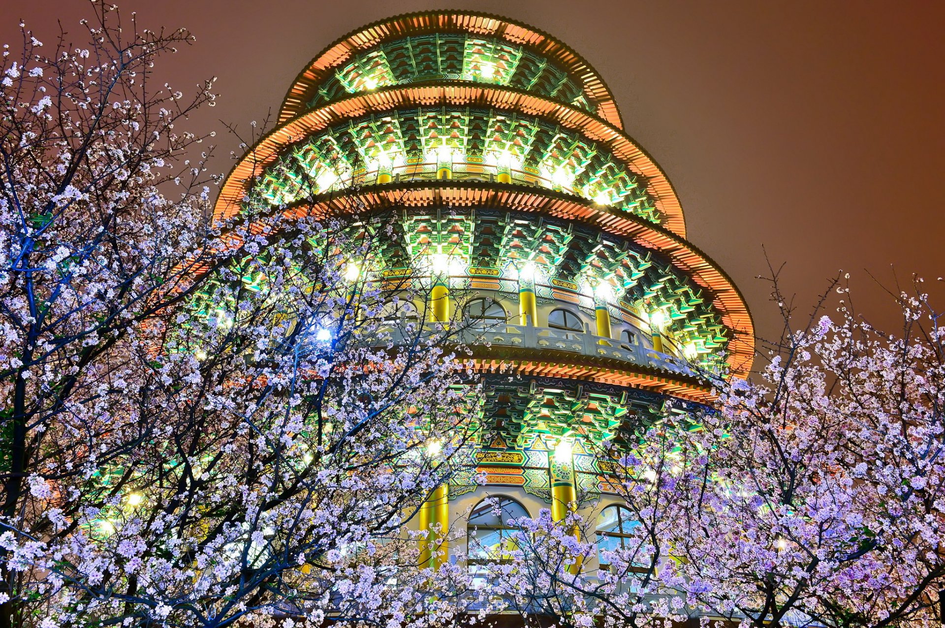 noche edificio luces iluminación árboles floración primavera