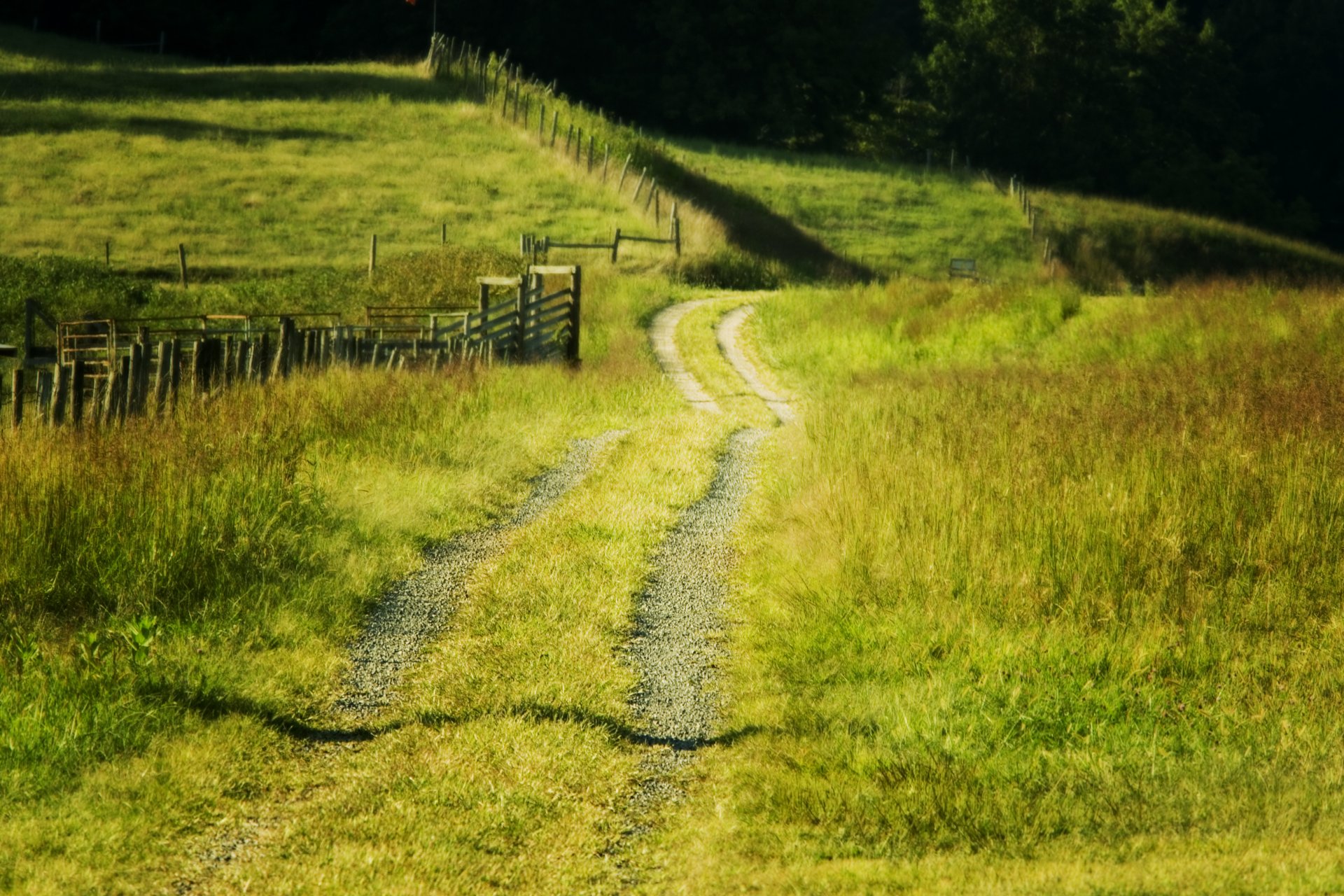 été champ route clôture paysage