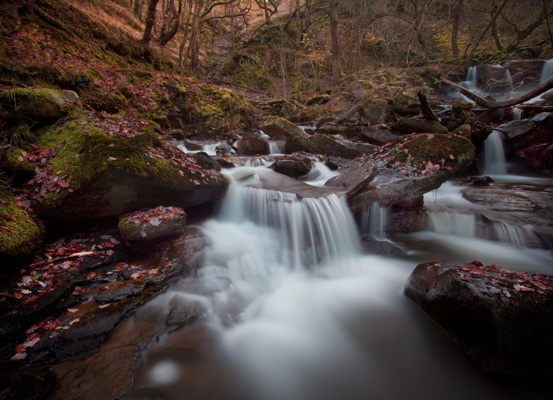 fluss kaskade herbst wald steine