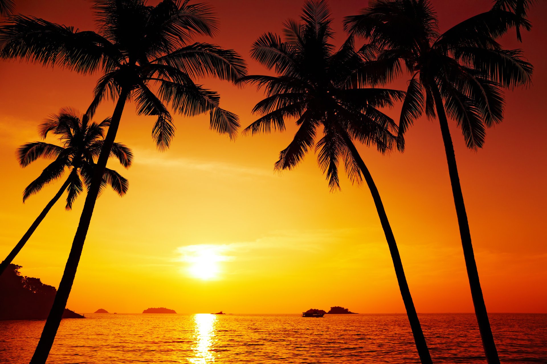 palm trees sunset landscape chang island thailand landscape nature pacific ocean beautiful sunset landscapes chang