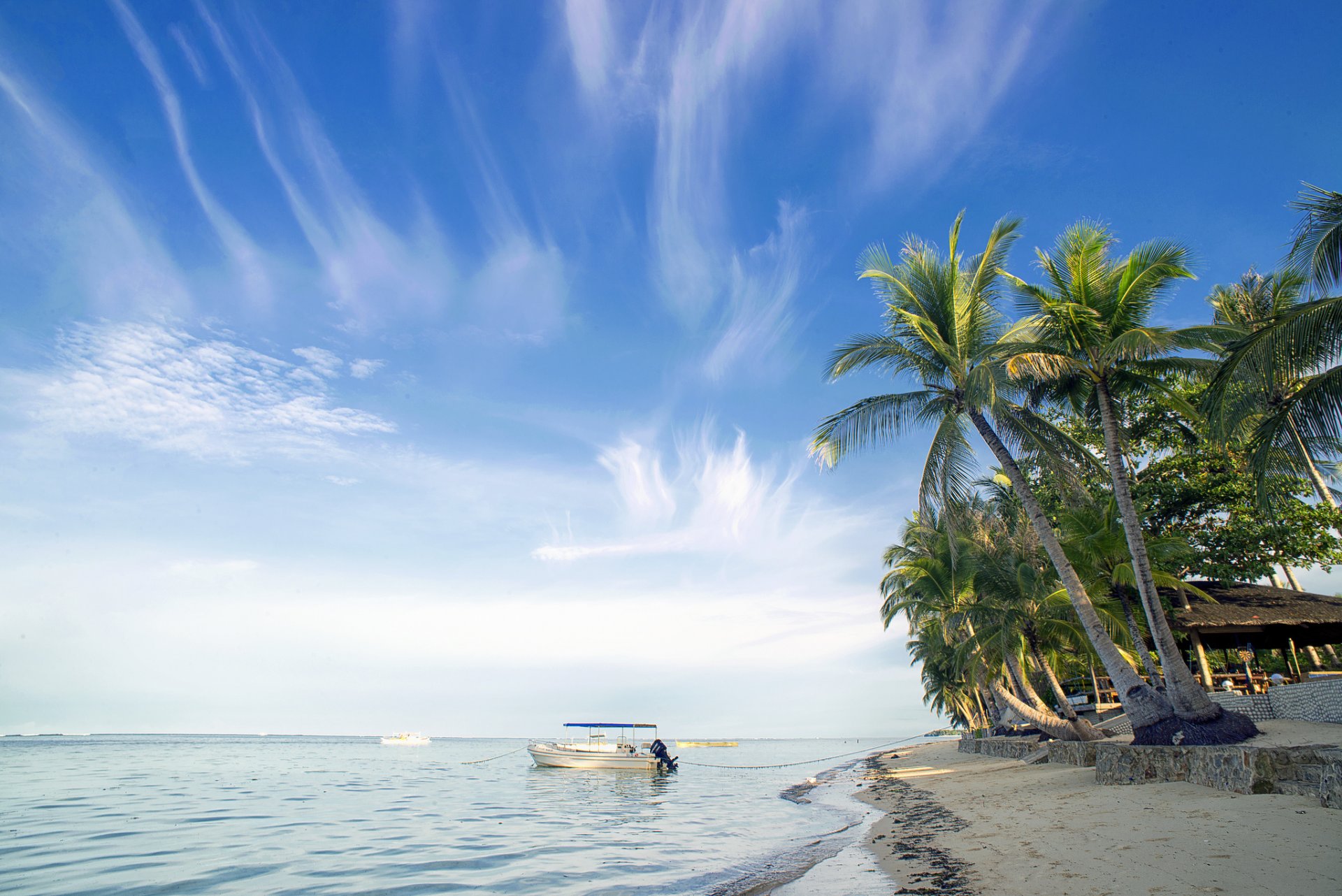 plaża ocean palmy łodzie