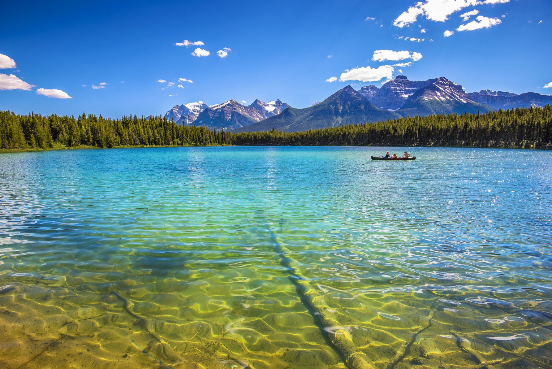 mountain forest lake boat sport