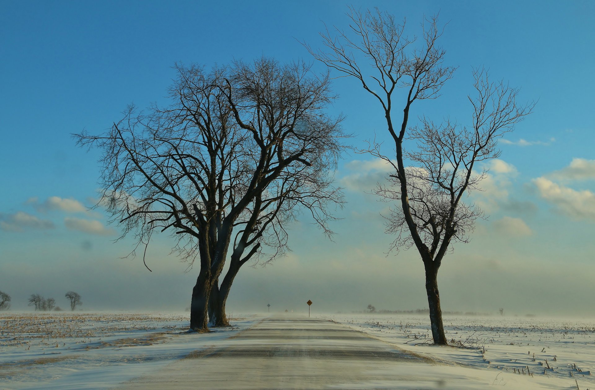 the field road tree snow drifting winter