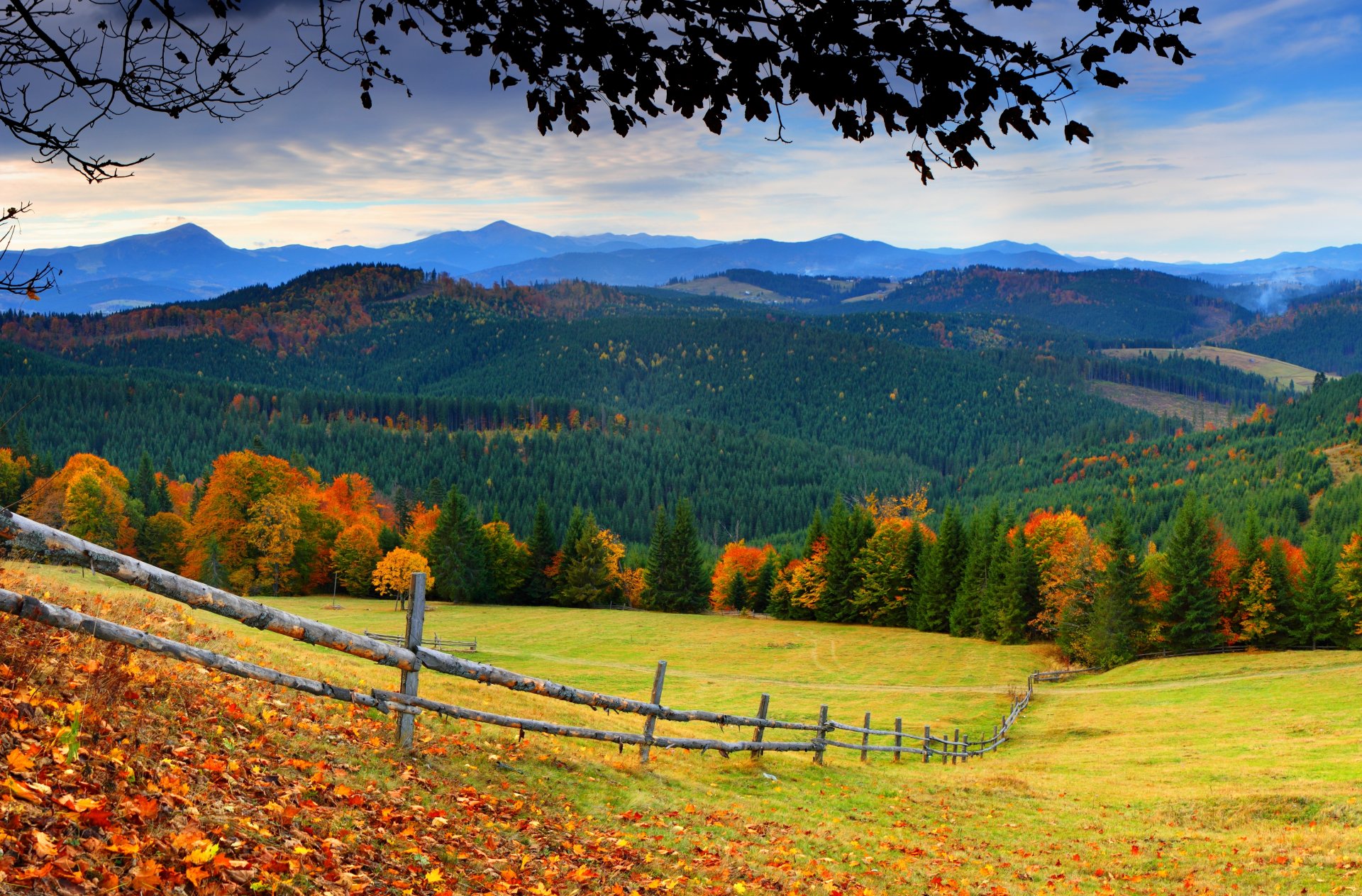 natur wald bäume berge gras blätter bunt straße herbst herbst farben zu fuß himmel