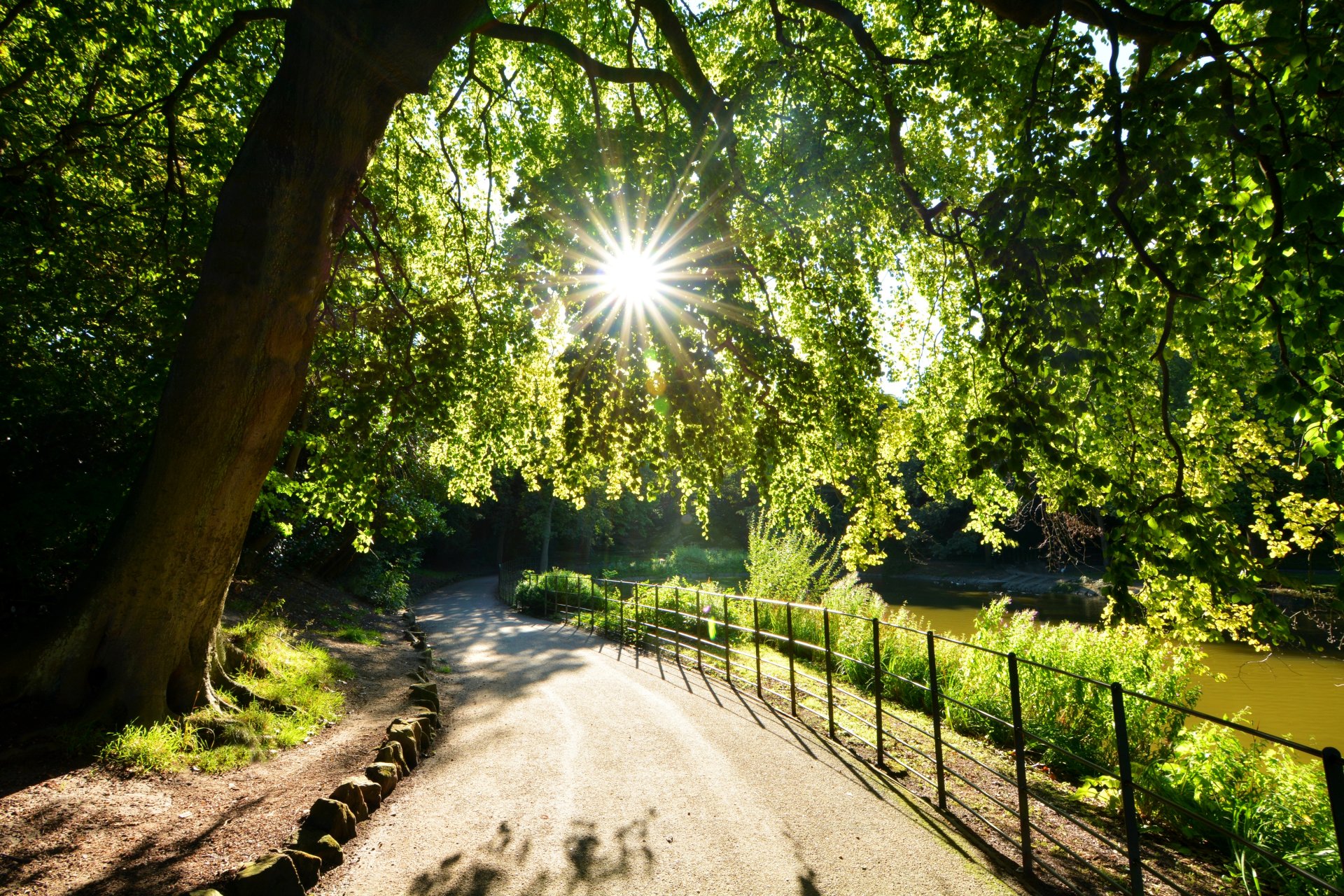 drzewa liście słońce promienie światło ścieżka brzeg jezioro park wirral birkenhead merseyside anglia