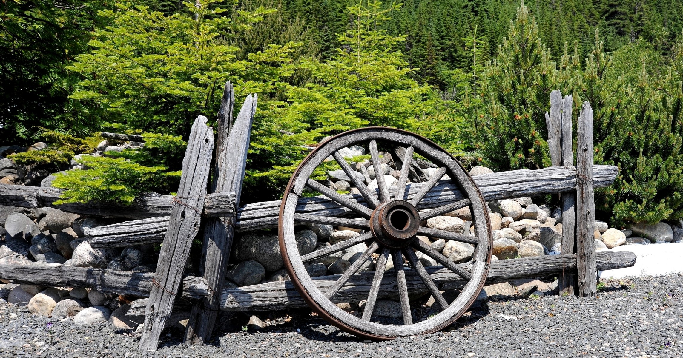 fence wheel road forest tree