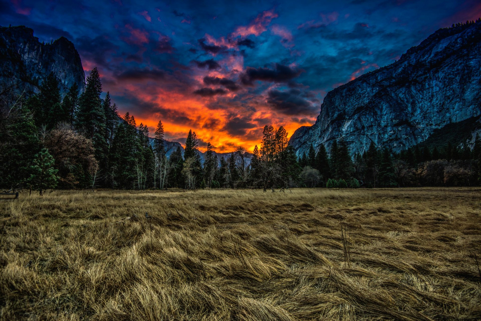 yosemite national park usa california meadow grass trees mountains sunset clouds nature