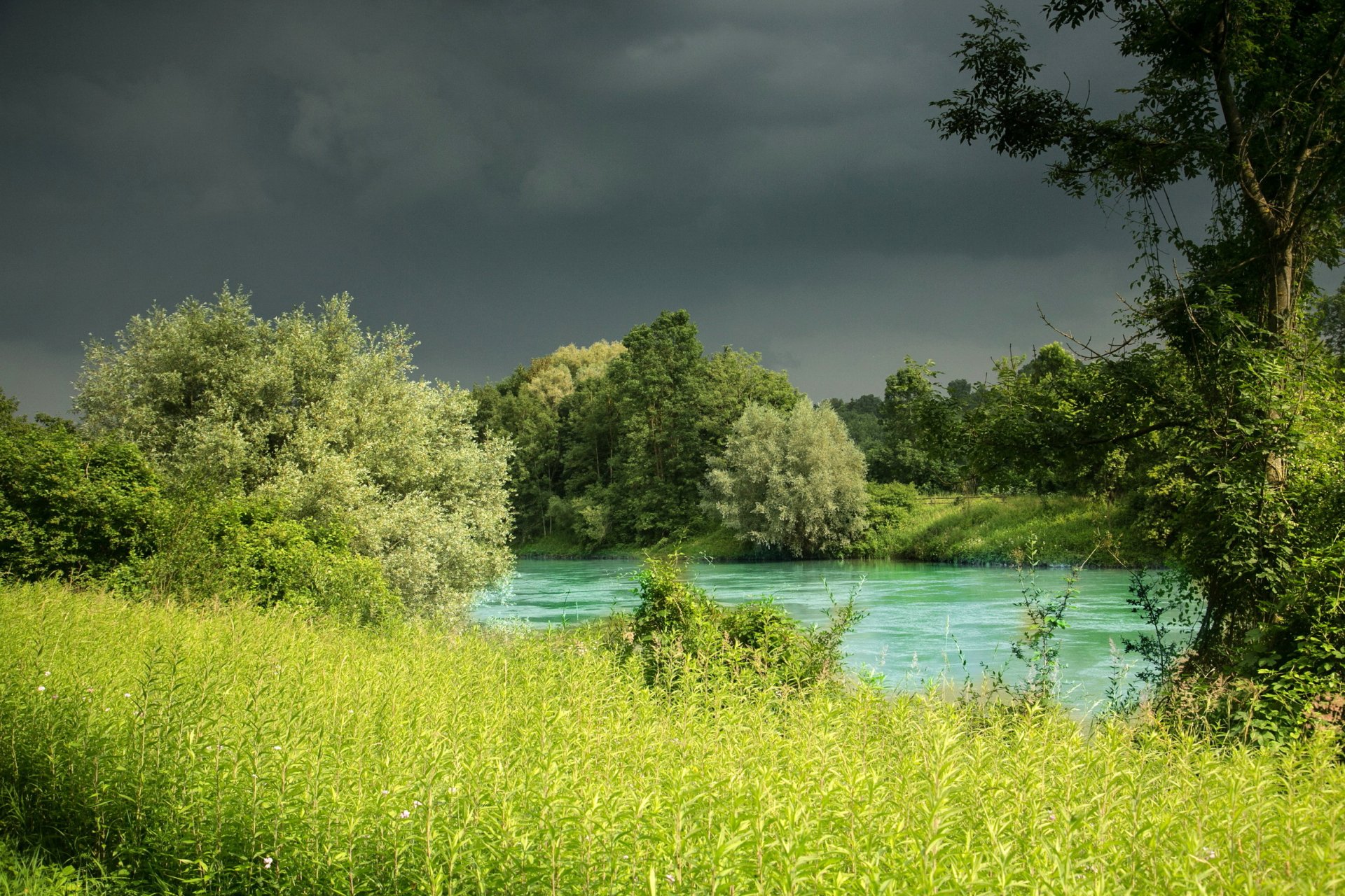 река германия бавария трава деревья природа