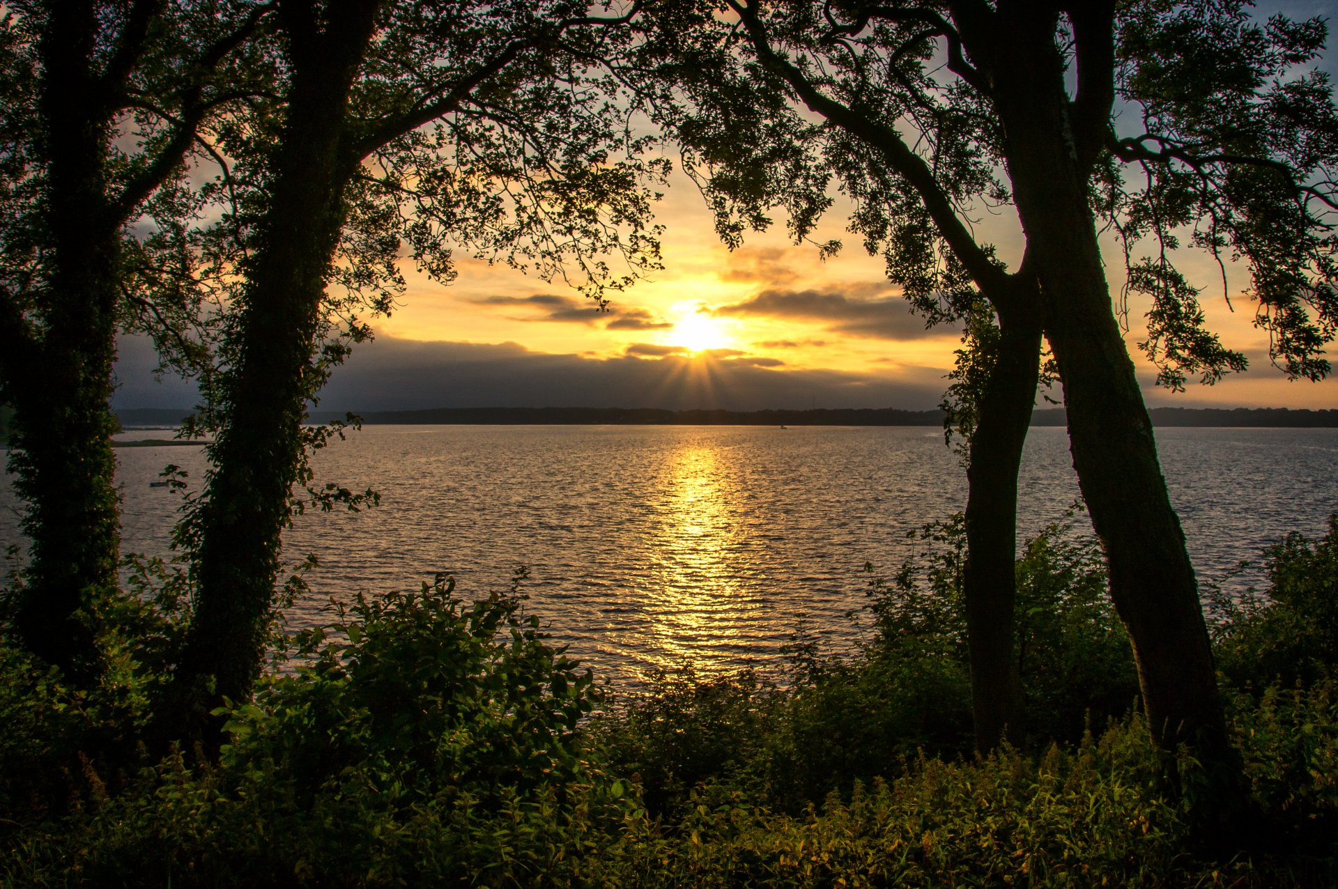 fiume riva alberi arbusto fogliame orizzonte sole tramonto