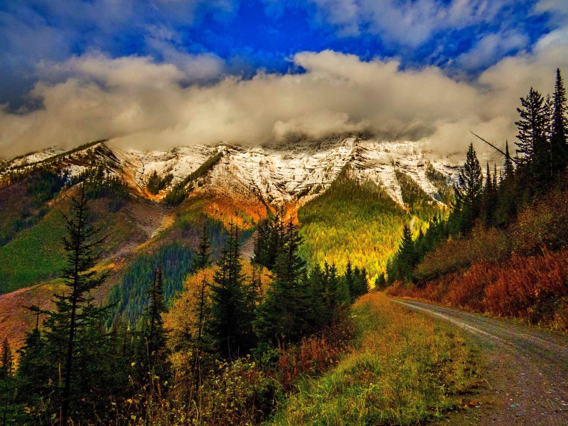 natur berge himmel wolken schnee wald park bäume blätter bunt straße herbst herbst farben zu fuß