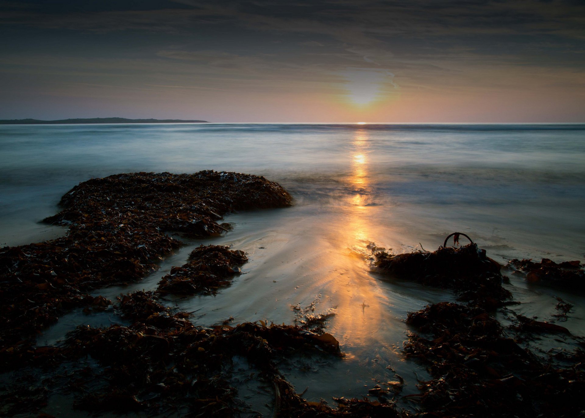 mare spiaggia alghe tramonto