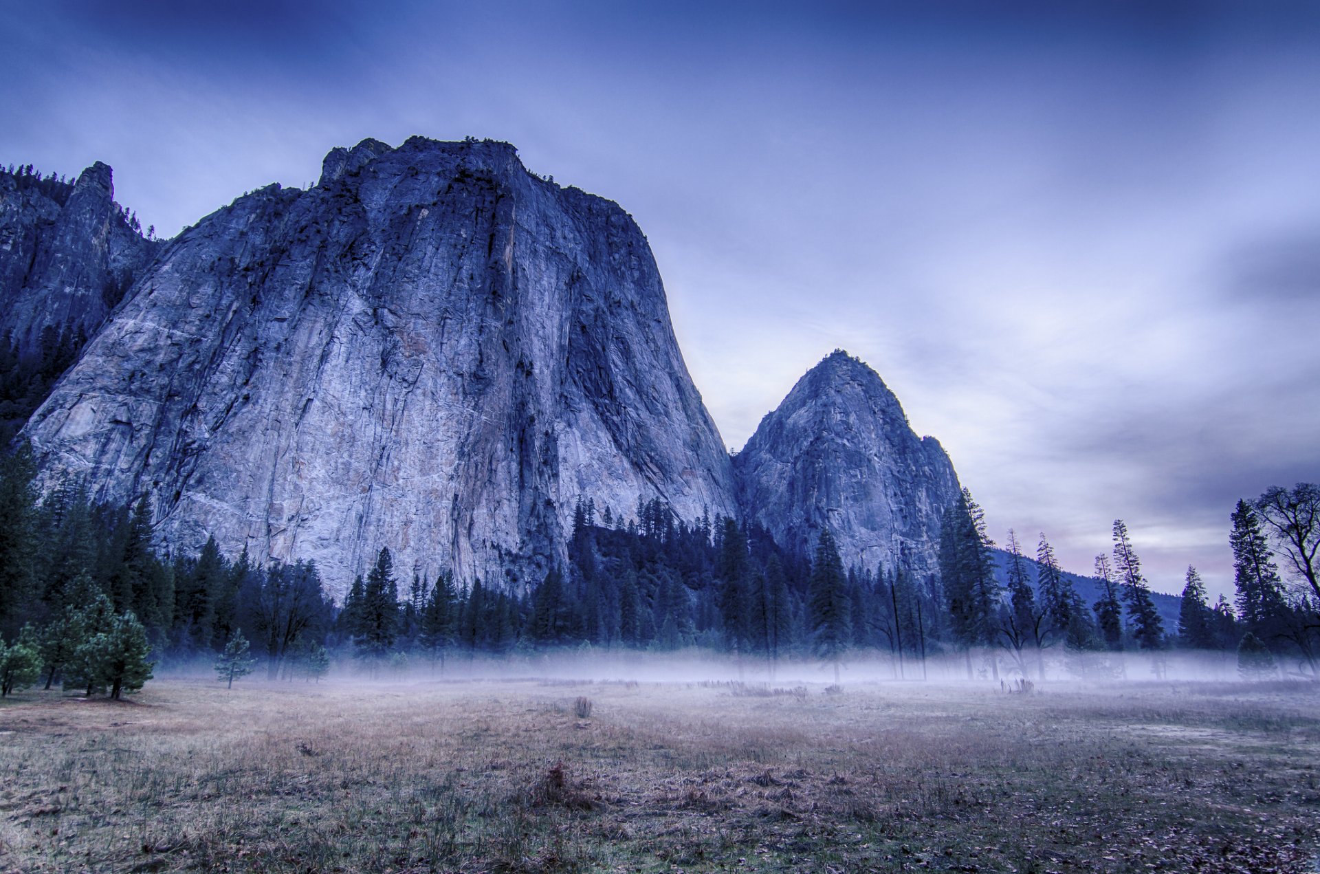 parc national de yosemite états-unis yosemite arbres montagnes brouillard nature paysage