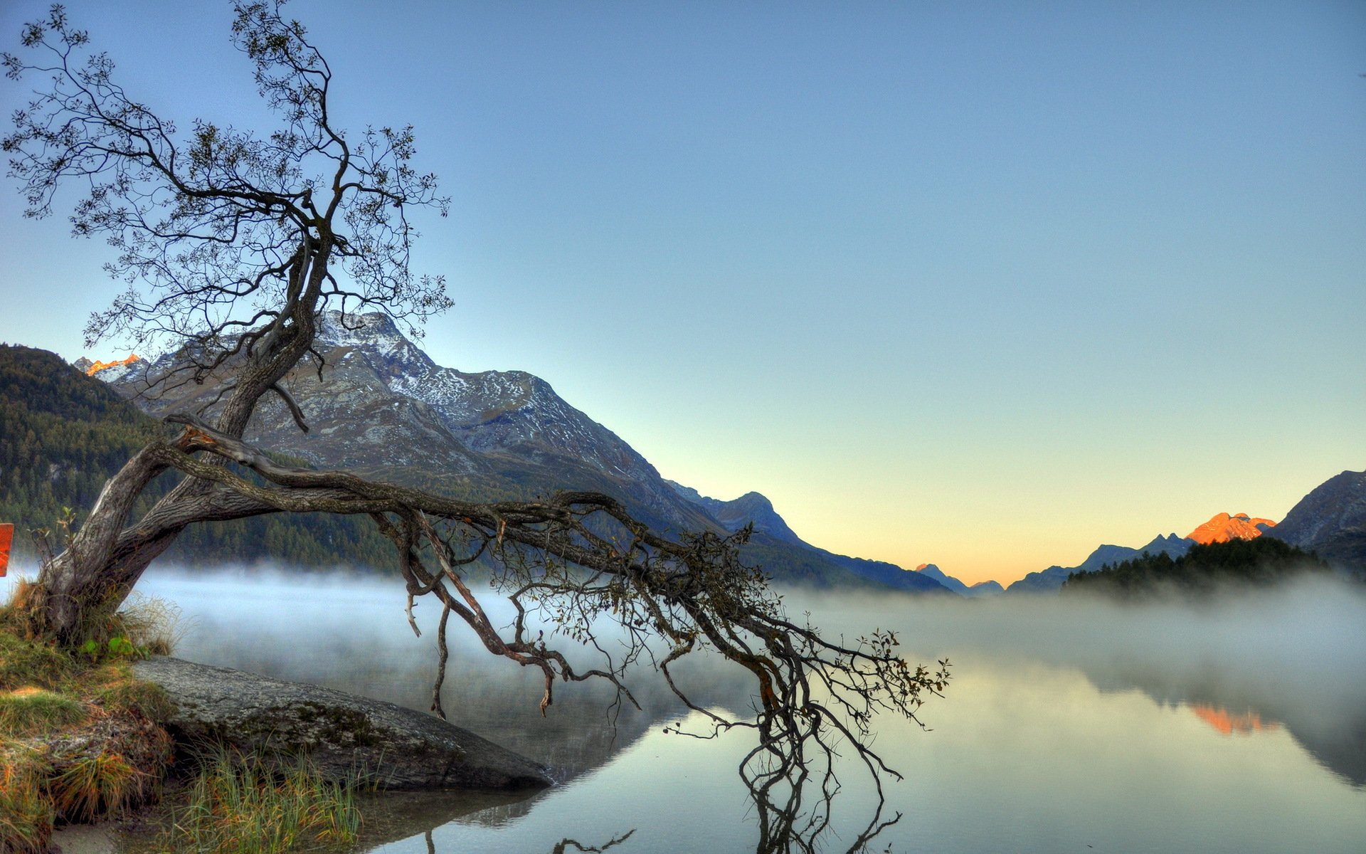 lake fog landscape