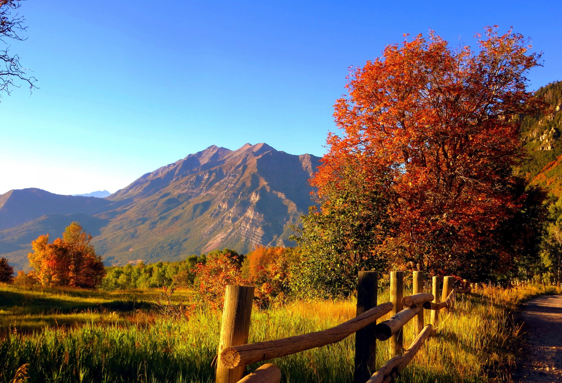 nature forest trees mountains rocks grass leaves colorful road autumn fall colors walk sky rock