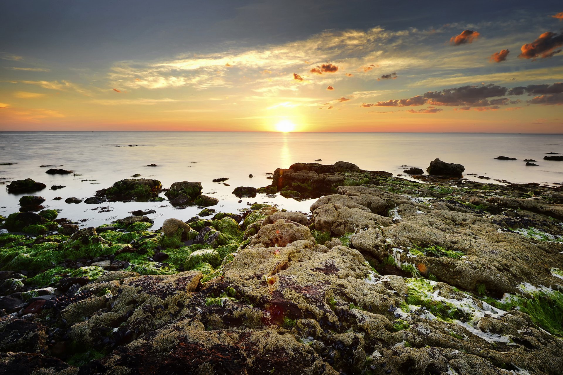 meer horizont sonne dämmerung steine algen