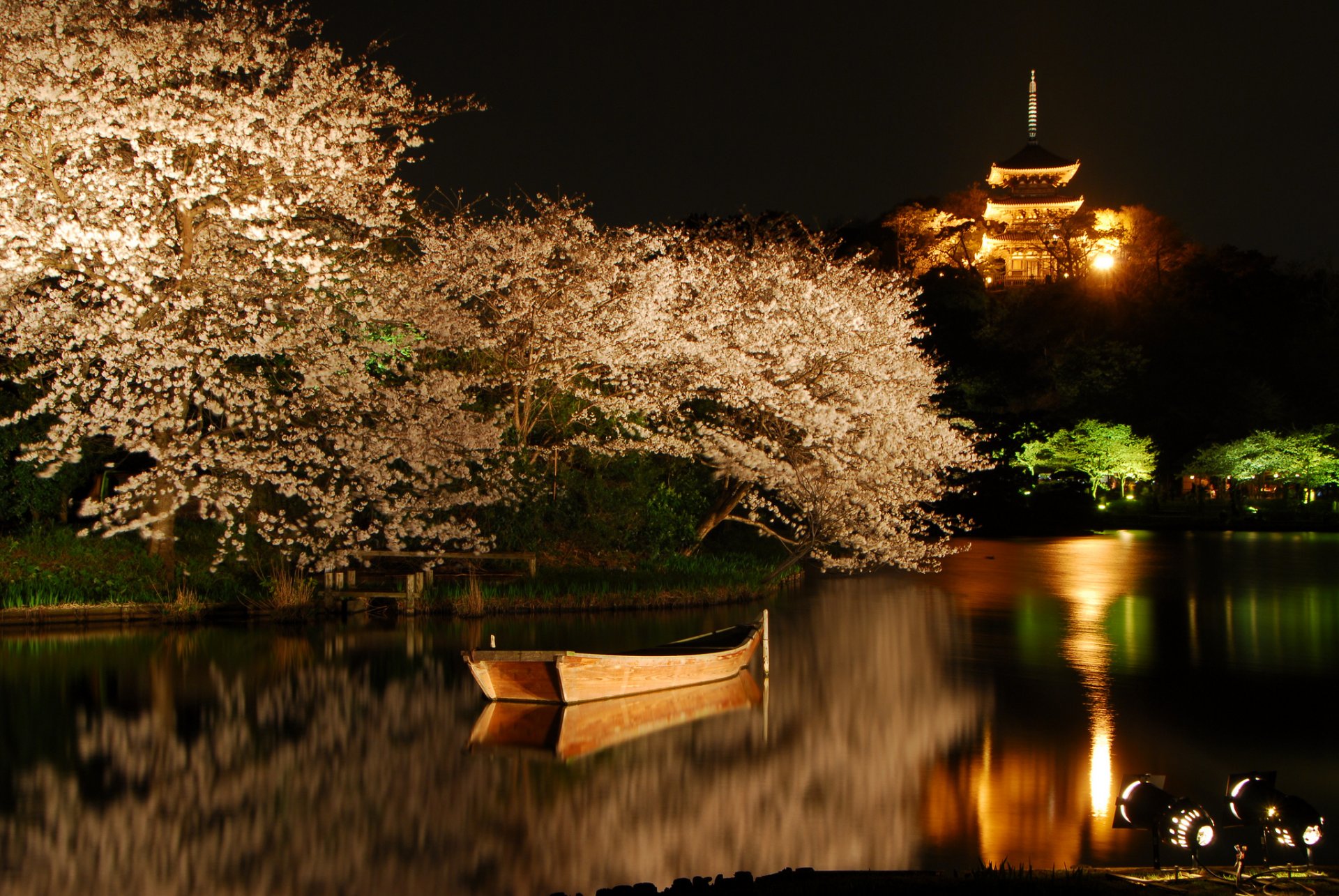 jezioro łódź drzewa kwitnące sakura podświetlenie noc wiosna