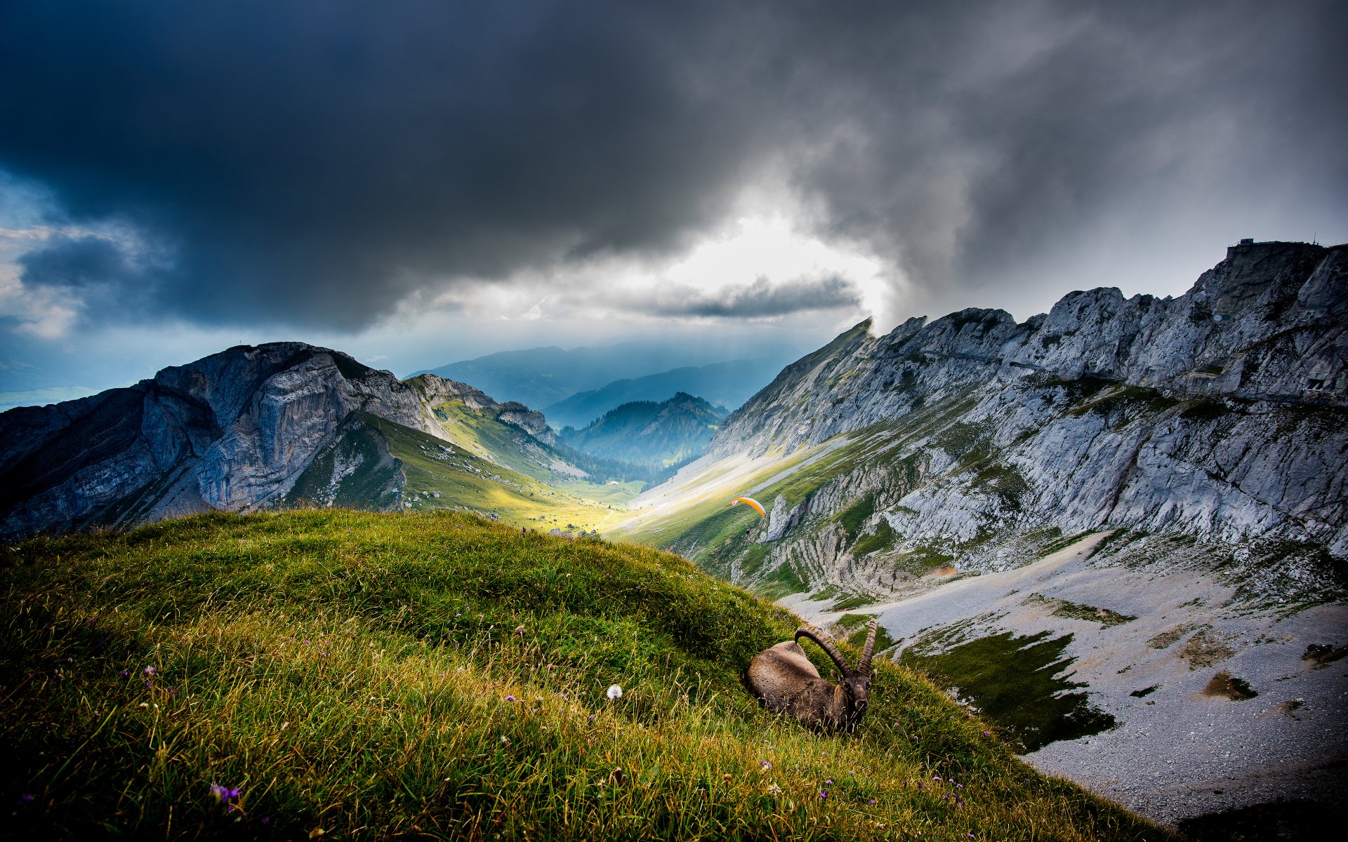 monte pilatus valle animal montañas cabra suiza nubes