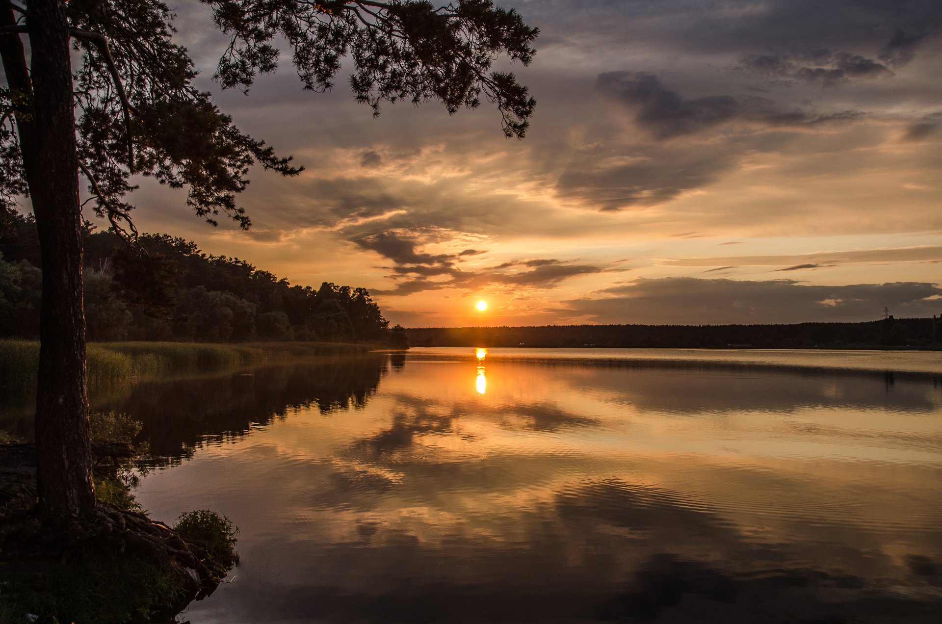 lake rays sun sunset forest tree reflection