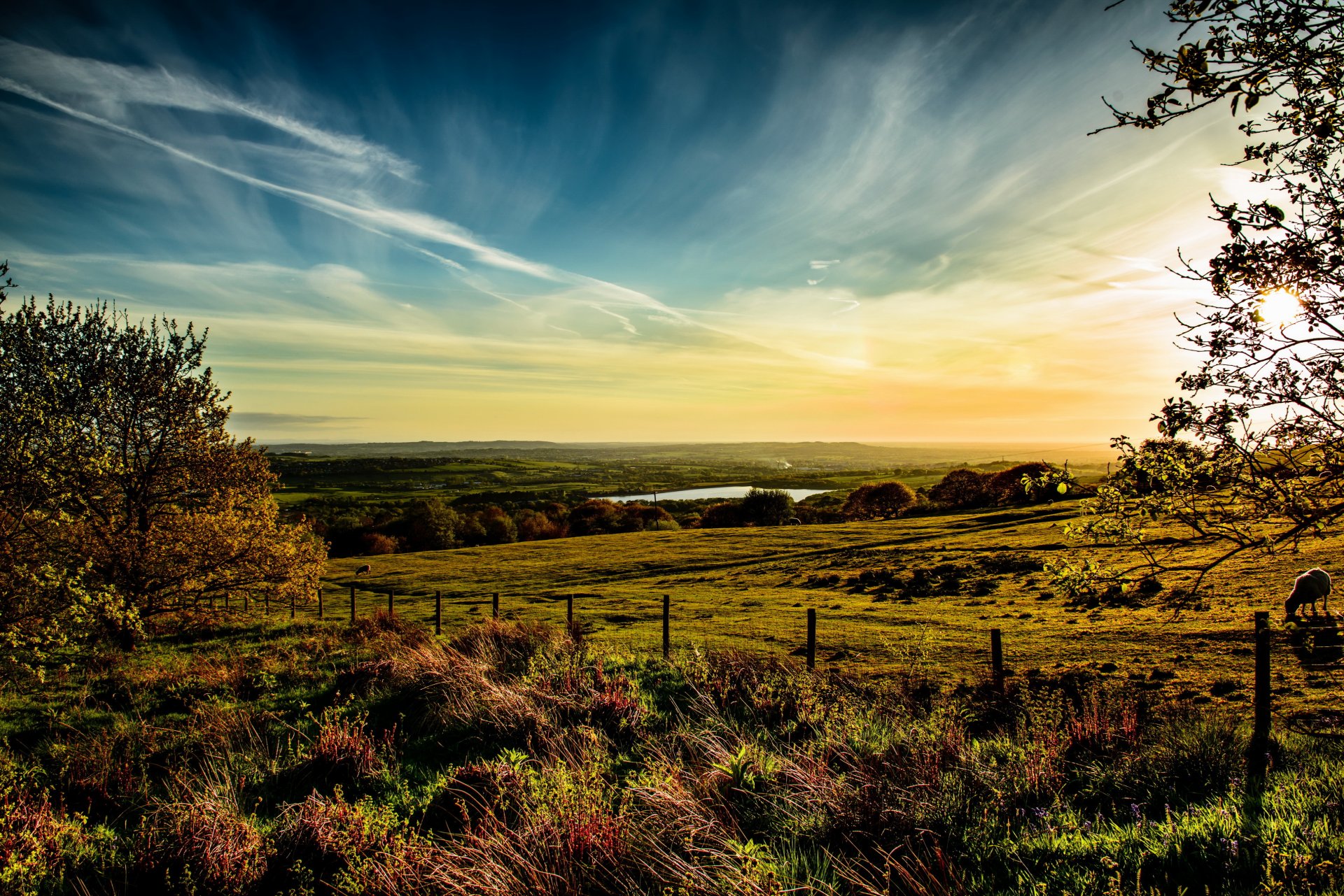 prairies angleterre ciel horvich nuages herbe horizon nature