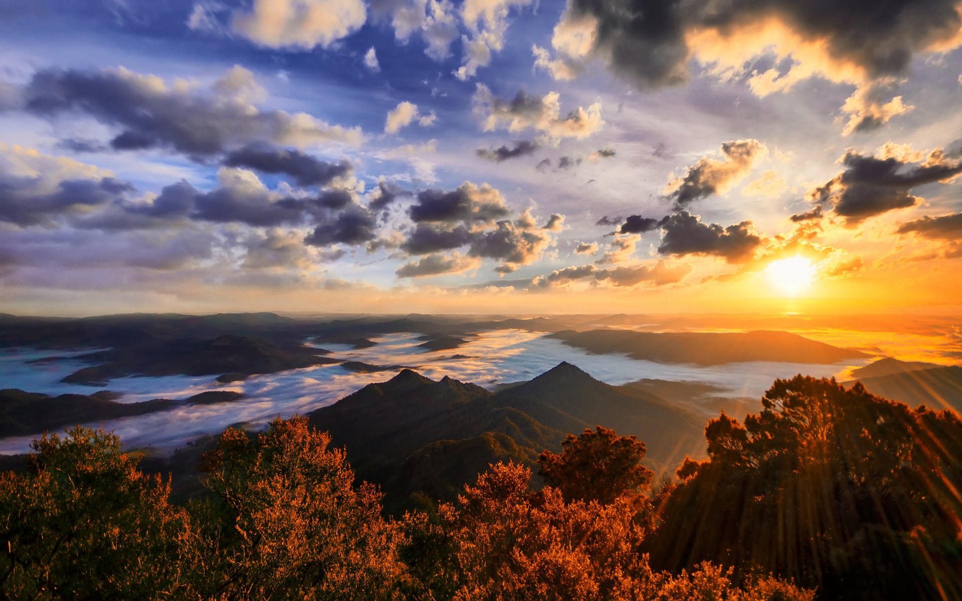 gold coast australia nature landscape mountain sun