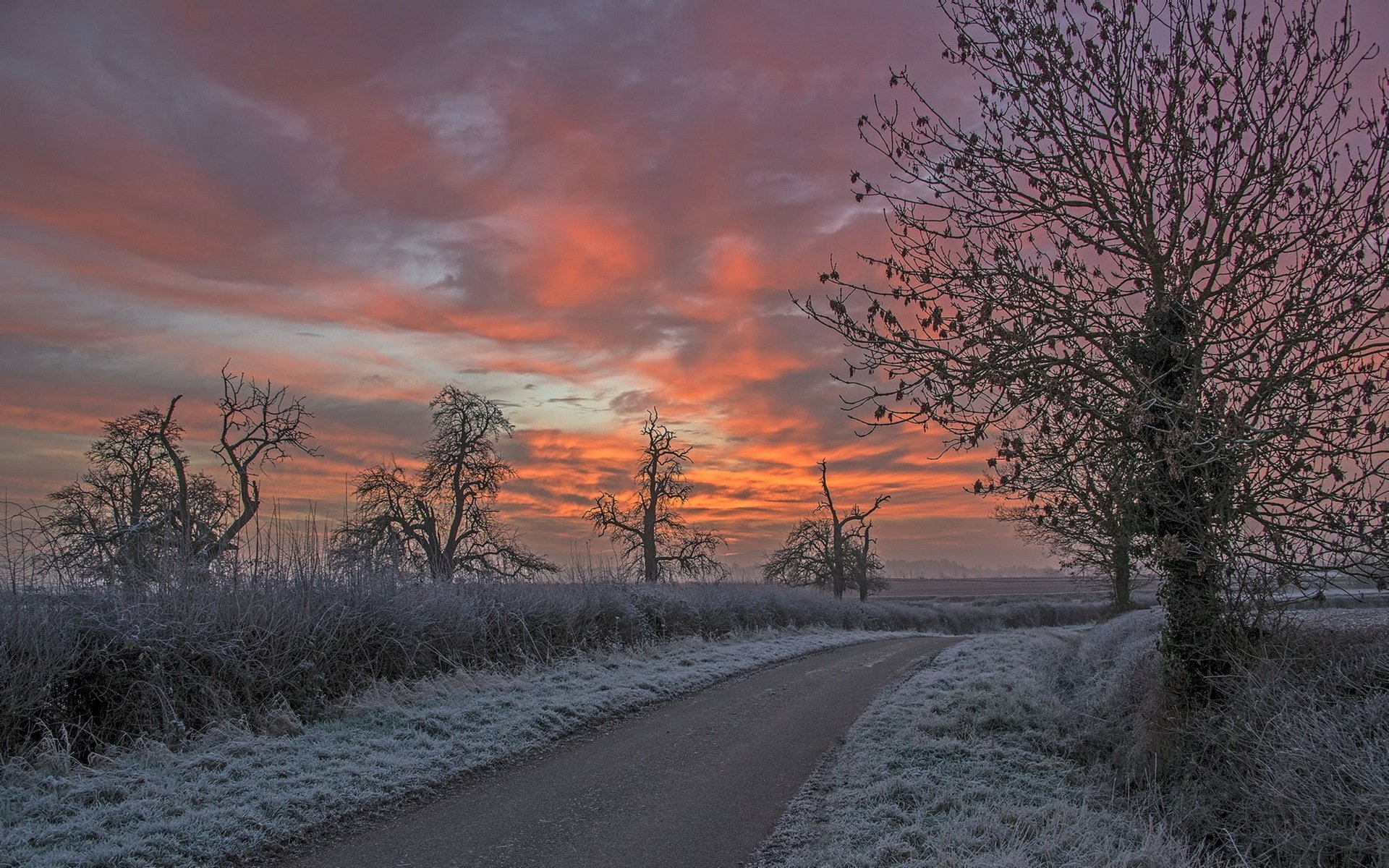 night road frost landscape