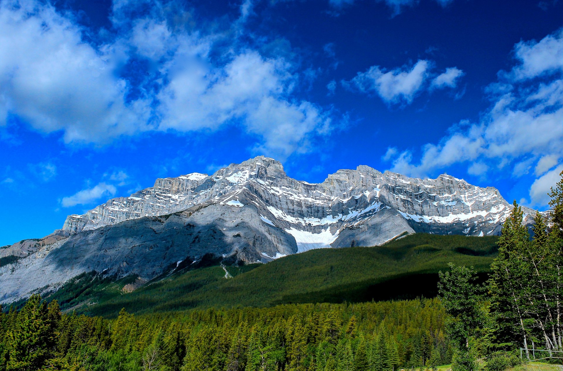 cascade mountain национальный парк банф альберта канада банф горы лес