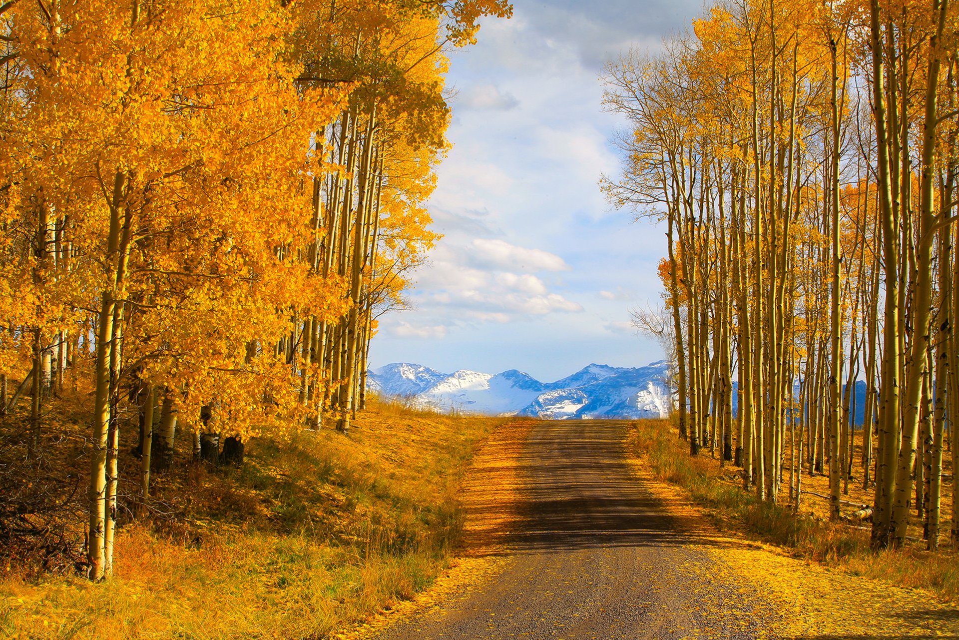 tellurid colorado usa herbst straße himmel bäume berge natur