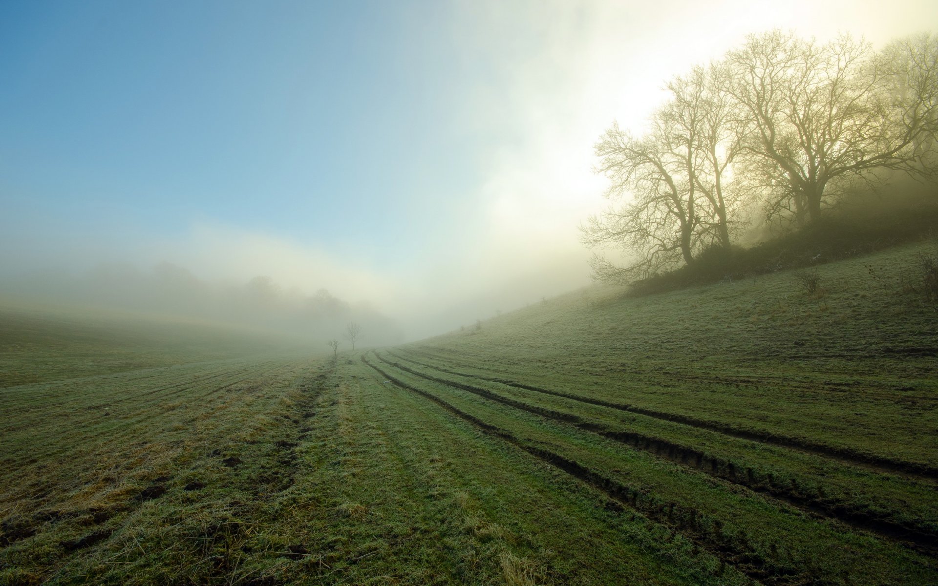 mañana campo niebla paisaje