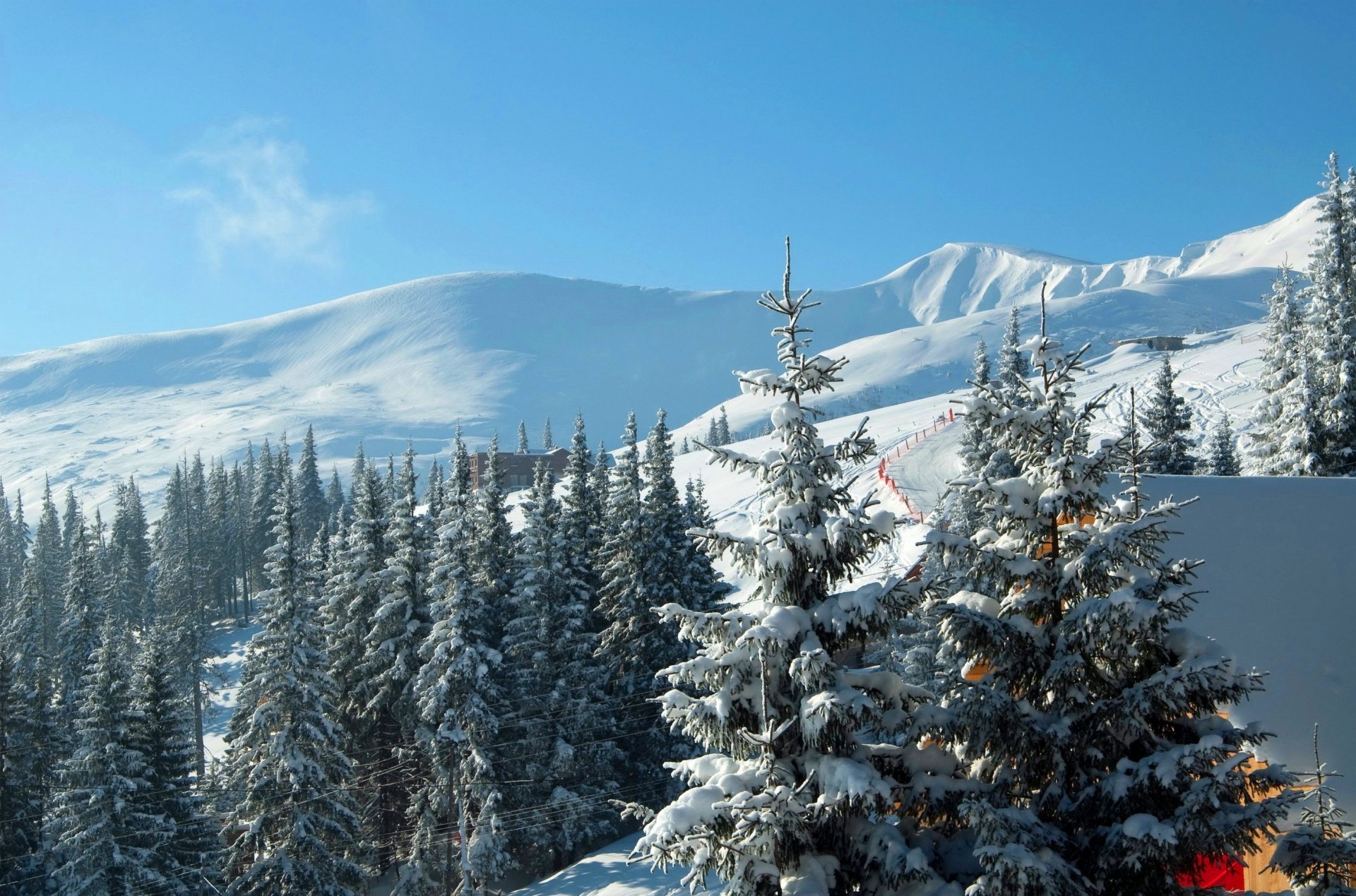 ukraine bukowel skigebiet karpaten berge fichten schnee winter