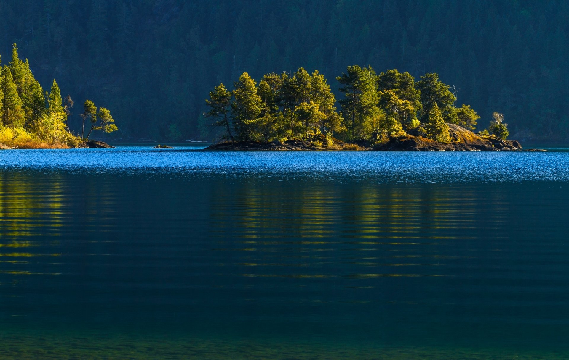 lago kauichan isla de vancouver canadá lago kauichan isla bosque árboles agua