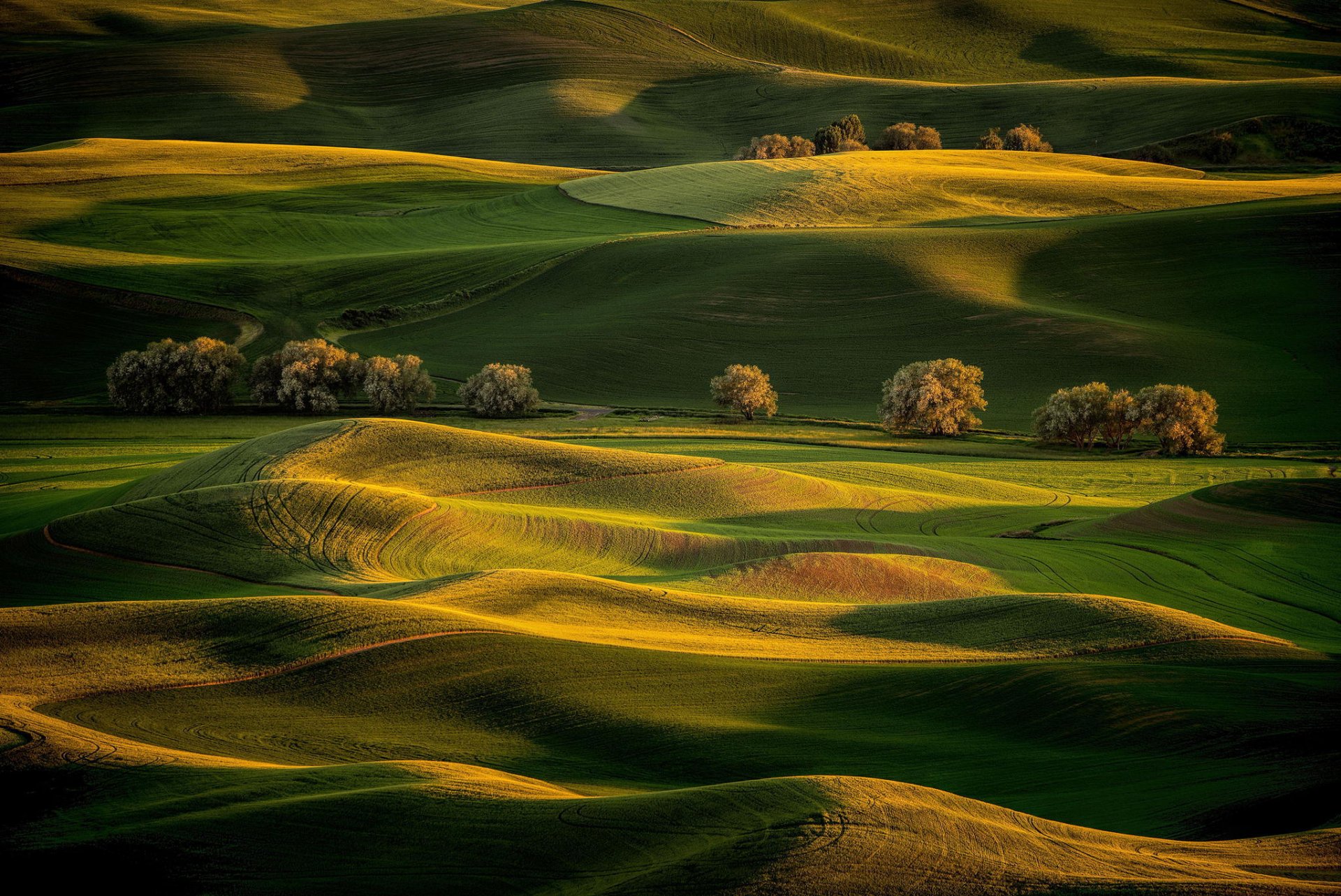 monticule matin collines