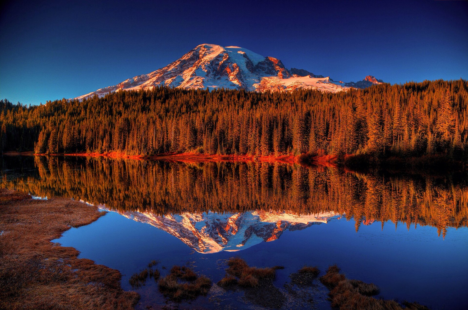 montaña bosque lago reflexión